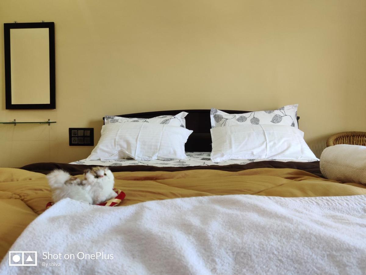 Lee Homestay Hampi Bagian luar foto