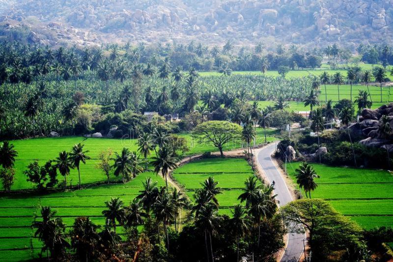 Lee Homestay Hampi Bagian luar foto