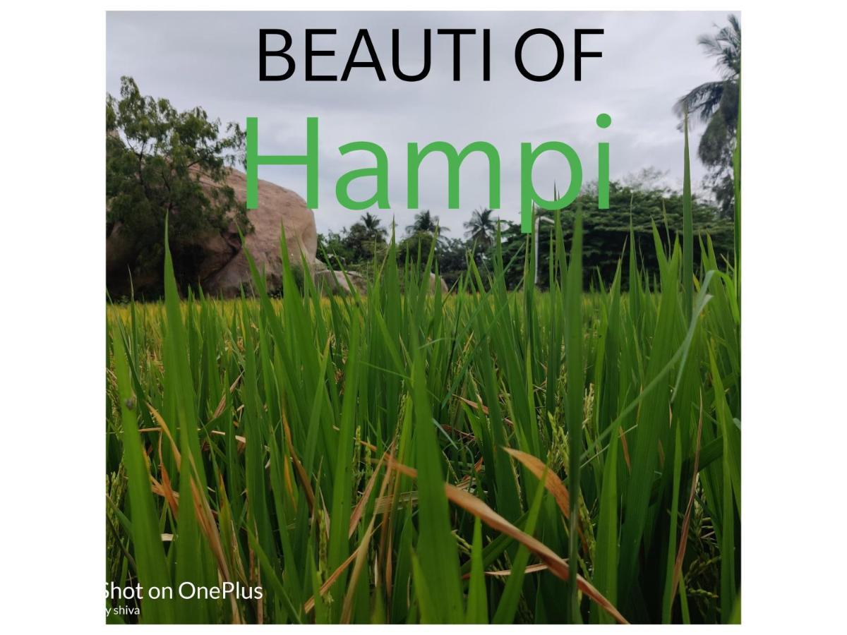 Lee Homestay Hampi Bagian luar foto